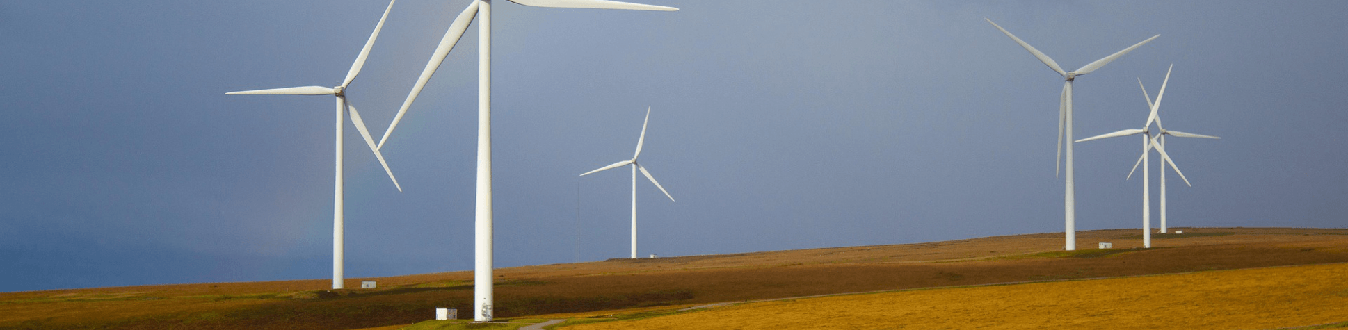 Windmills in a solar farm